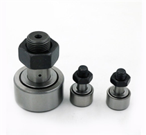 Roller bolt bearing
